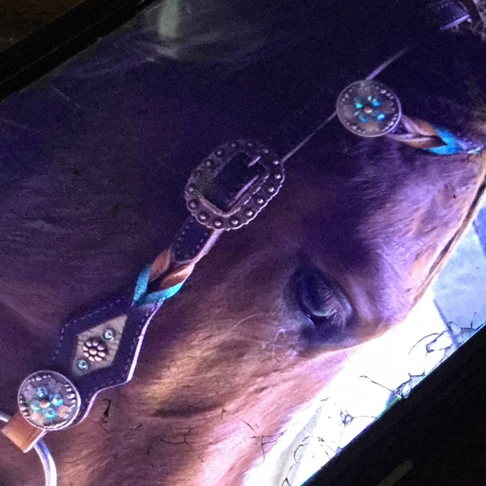 Custom horse headstall barrel racing cowgirl rodeo queen equestrian western